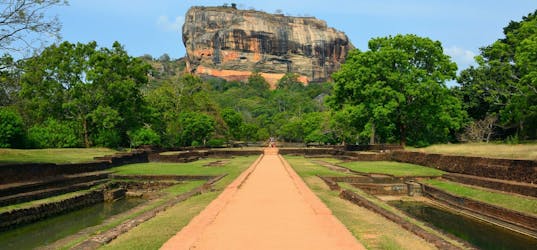 Tour privato di Sigiriya e Dambulla dalla regione di Bentota